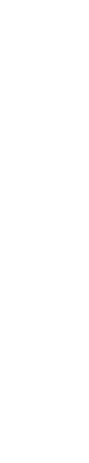 텍스트 이미지